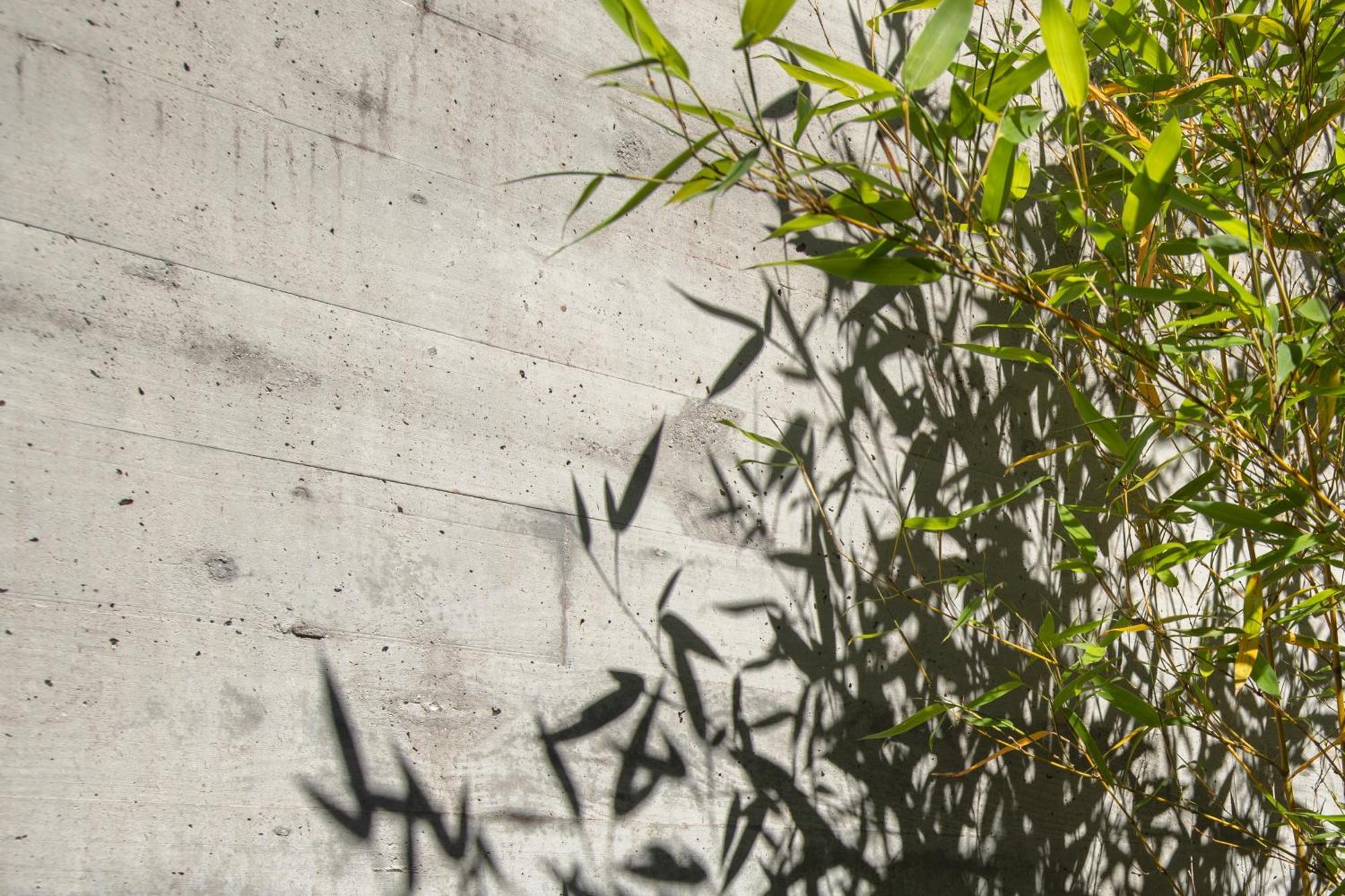 Villa Con Piscina Y Jardin, Santiago De Compostela Teo Eksteriør bilde